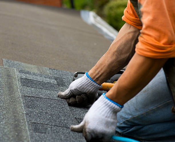 Best Metal Roofing Contractor  in Kimball, NE