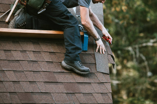 Best Roof Gutter Cleaning  in Kimball, NE